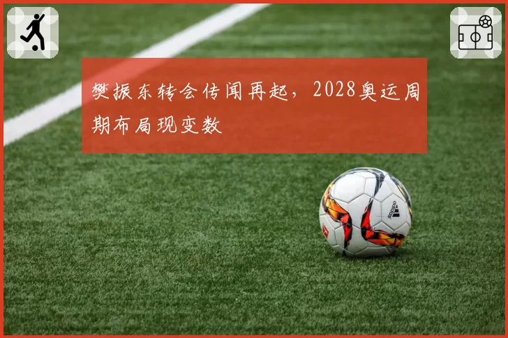 樊振东转会传闻再起,2028奥运周期布局现变数