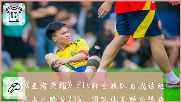 《王者荣耀》Fly转会狼队后战边经济占比降至23%，团队体系磨合阵痛显现