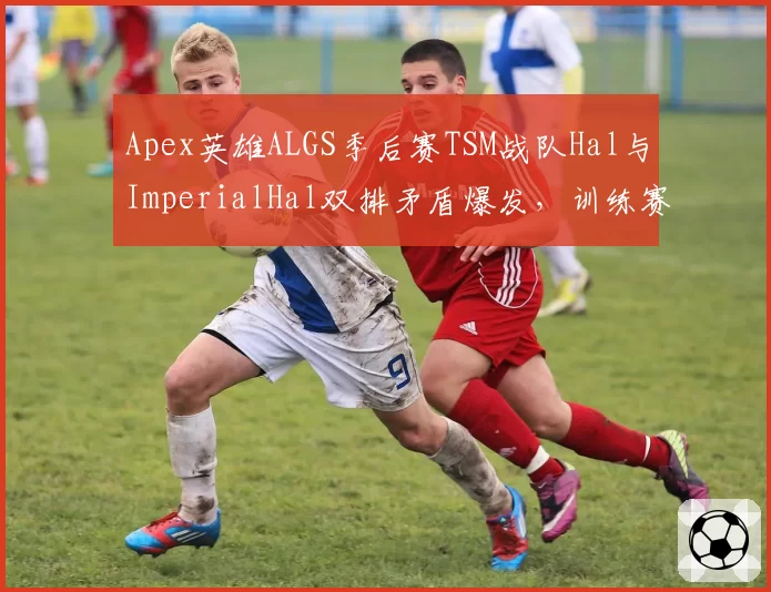 Apex英雄ALGS季后赛TSM战队Hal与ImperialHal双排矛盾爆发，训练赛暂退引热议