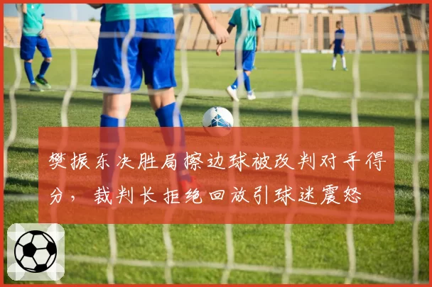 樊振东决胜局擦边球被改判对手得分，裁判长拒绝回放引球迷震怒